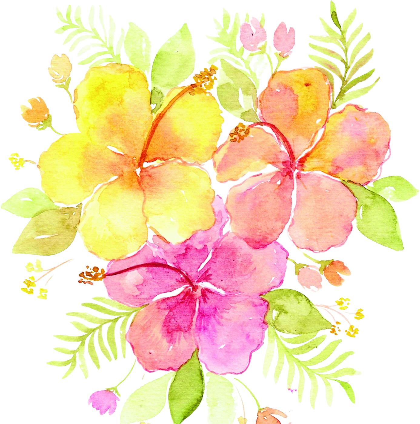 Hibiscos em aquarela pintados pela Ana