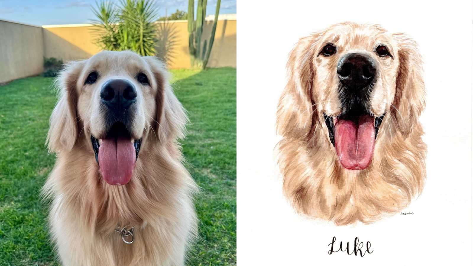 Luke, um golden retriever, ao lado da aquarela pintada dele