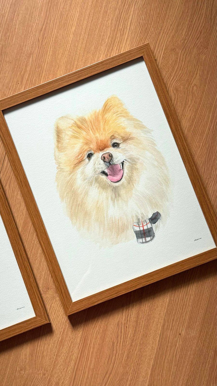 Aquarela de um spitz alemão em moldura de madeira